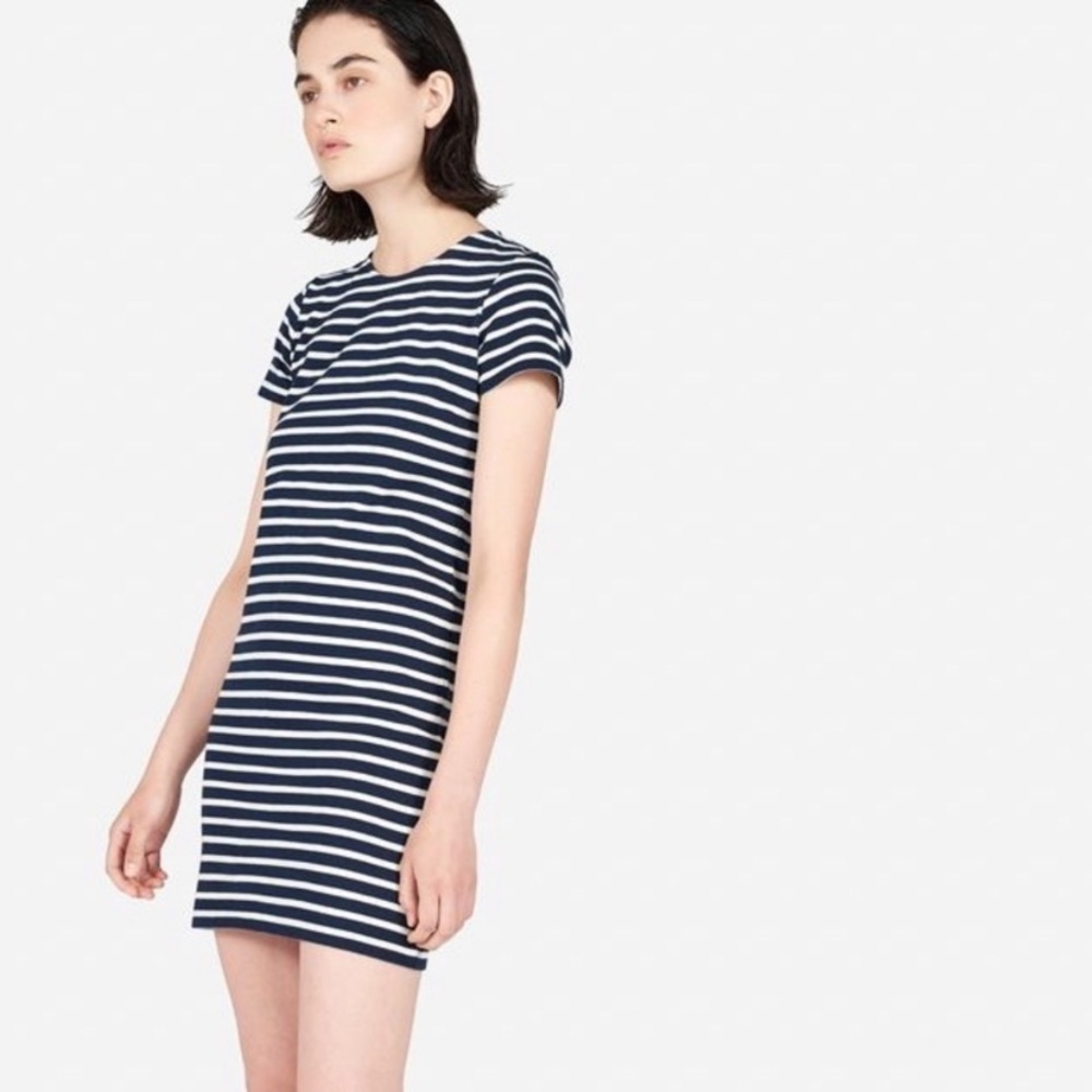 everlane cotton striped dress
